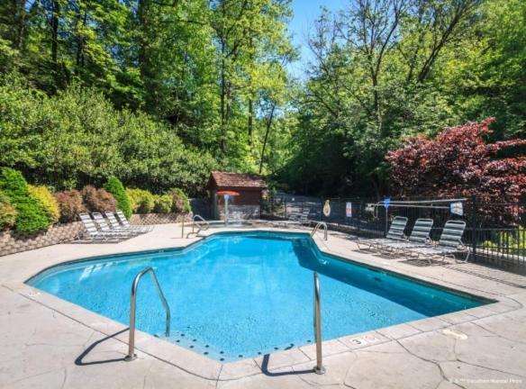 Another Day In Bearadise By Stony Brook Cabins Gatlinburg Exterior foto